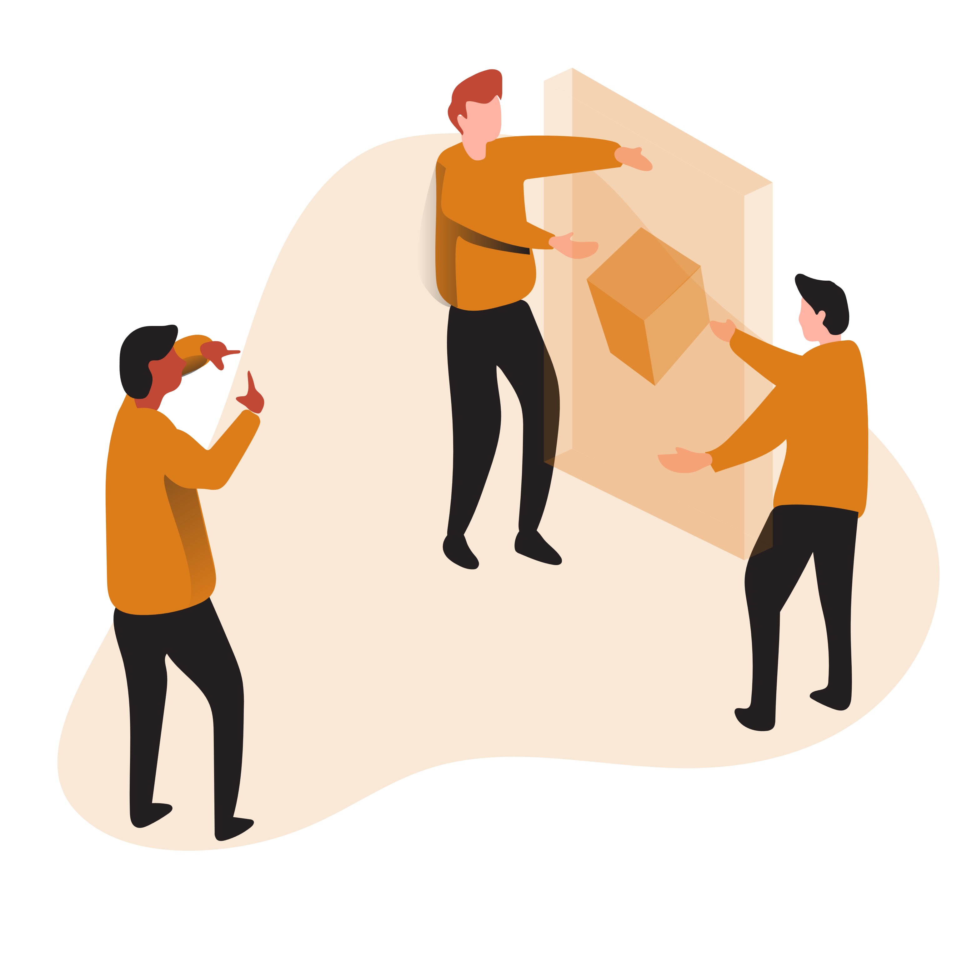 Mobile Optimization Project